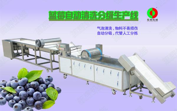 台州蓝莓/蔬果全自动清洗分级生产线